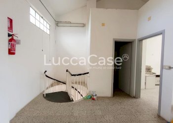 Laboratorio Massarosa - foto 4