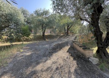 Villa Fauglia - foto 12