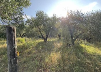 Villa Fauglia - foto 54