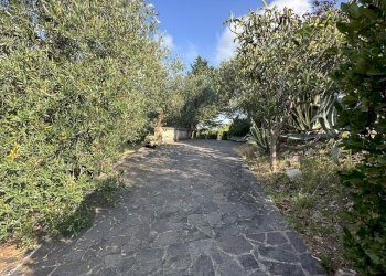 Villa Fauglia - foto 51