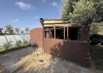 Villa Fauglia - foto 58