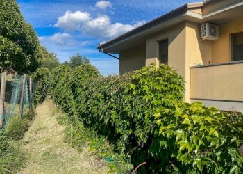 Two-room apartment Casalfiumanese - photo 6