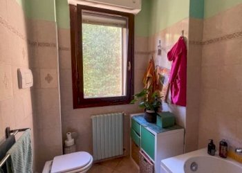 Two-room apartment Casalfiumanese - photo 20