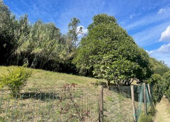 Two-room apartment Casalfiumanese - photo 28