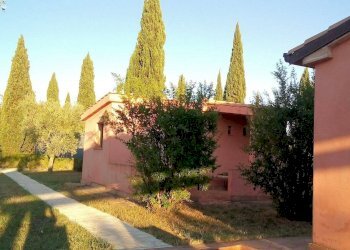 Foto 4 - Rustico Via IV Novembre, Magliano in Toscana - foto 4