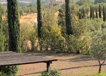 Foto 7 - Rustico Via IV Novembre, Magliano in Toscana - foto 7