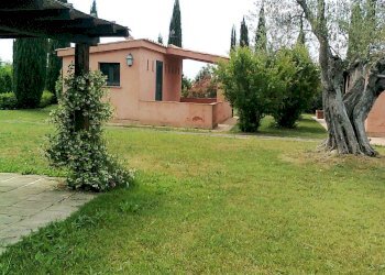 Foto 10 - Rustico Via IV Novembre, Magliano in Toscana - foto 10