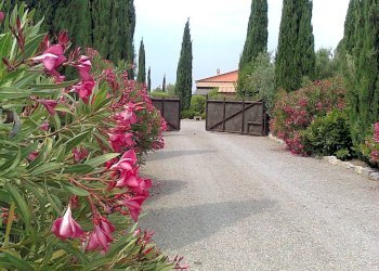 Foto 12 - Rustico Via IV Novembre, Magliano in Toscana - foto 12