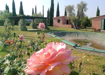 Foto 13 - Rustico Via IV Novembre, Magliano in Toscana - foto 13