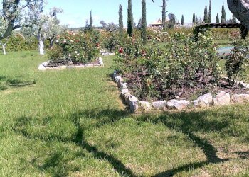 Foto 15 - Rustico Via IV Novembre, Magliano in Toscana - foto 15