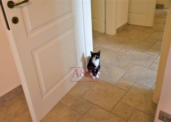 Foto 48 - Independent house Contrada Mulino
 
19, Servigliano - photo 48