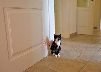 Foto 49 - Independent house Contrada Mulino
 
19, Servigliano - photo 49