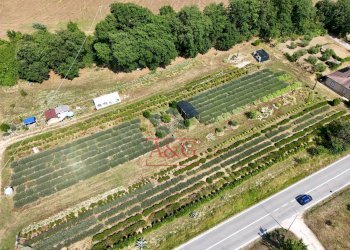 Foto 85 - Independent house Contrada Mulino
 
19, Servigliano - photo 85