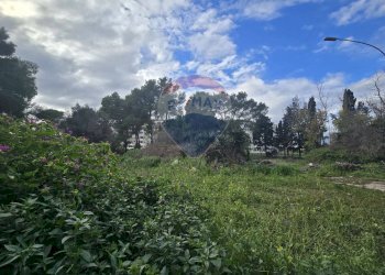 Giardino - Terreno edificabile Via Venosa
 
snc, Lecce - foto 11