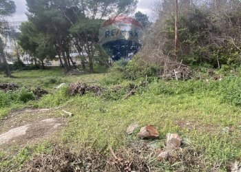 Giardino - Terreno edificabile Via Venosa
 
snc, Lecce - foto 15