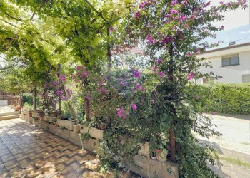 Giardino - Casa indipendente Contrada Villa Andreoli
 
196, Lanciano - foto 66
