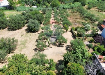 Giardino - Casa indipendente Contrada Villa Andreoli
 
196, Lanciano - foto 156
