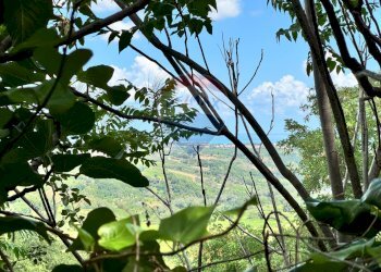 Non correlato - Independent house Via IV Novembre
 
6, Frisa - photo 7