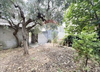 Giardino - Independent house Via IV Novembre
 
6, Frisa - photo 10