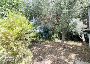 Giardino - Independent house Via IV Novembre
 
6, Frisa - photo 13