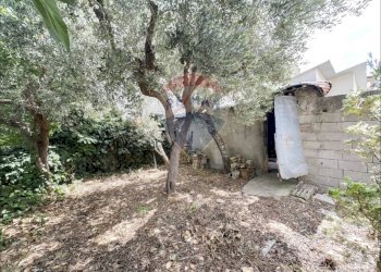 Giardino - Independent house Via IV Novembre
 
6, Frisa - photo 14