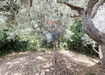 Giardino - Independent house Via IV Novembre
 
6, Frisa - photo 15