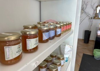 Dettagli - Casa indipendente Via Pallano
 
31, Tornareccio - foto 4