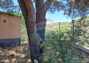 Giardino - Villa contrada campoliberto, Vizzini - foto 27