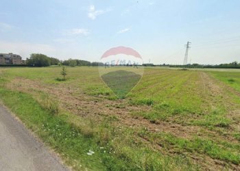 Giardino - Terreno agricolo Caronno Pertusella - foto 7