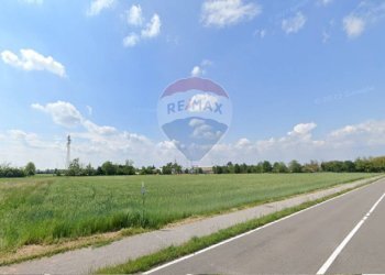 Giardino - Terreno agricolo Caronno Pertusella - foto 9