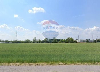 Giardino - Terreno agricolo Caronno Pertusella - foto 10