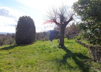 Giardino - Rustic Cingoli - photo 7