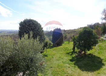 Giardino - Rustic Cingoli - photo 34