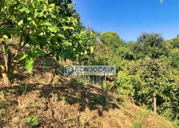 ESTERNO - Casa semi indipendente Via Gasparo Venturini
 
7, Massa - foto 33