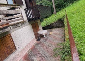 Foto 18 - Trilocale VIA DRAGO, Oltre il Colle - foto 18