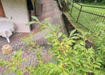 Foto 19 - Trilocale VIA DRAGO, Oltre il Colle - foto 19