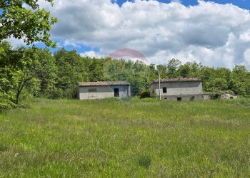 Giardino - Rustico località Bagnaturo, Lettopalena - foto 1