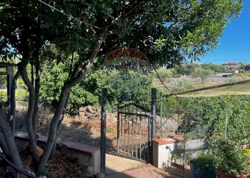 Giardino - Villa via pietre nere cava ispica
 
41, Modica - foto 8