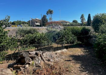 Giardino - Villa via pietre nere cava ispica
 
41, Modica - foto 9