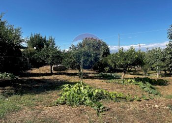 Giardino - Villa via pietre nere cava ispica
 
41, Modica - foto 10