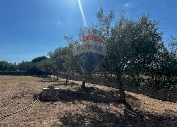 Giardino - Villa via pietre nere cava ispica
 
41, Modica - foto 19