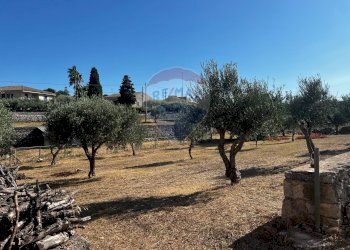 Giardino - Villa via pietre nere cava ispica
 
41, Modica - foto 25