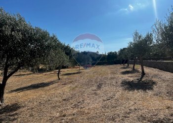 Vista delle montagne - Villa via pietre nere cava ispica
 
41, Modica - foto 26