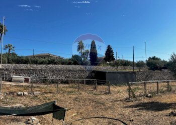 Giardino - Villa via pietre nere cava ispica
 
41, Modica - foto 27