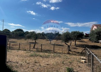 Giardino - Villa via pietre nere cava ispica
 
41, Modica - foto 29