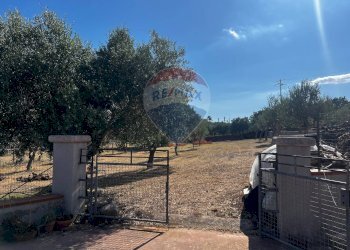 Giardino - Villa via pietre nere cava ispica
 
41, Modica - foto 30