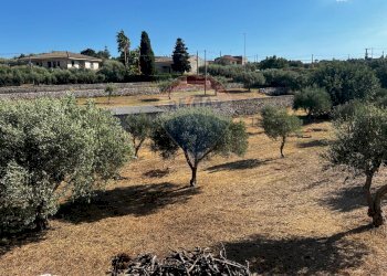 Giardino - Villa via pietre nere cava ispica
 
41, Modica - foto 48