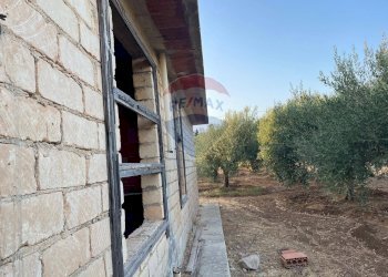 Giardino - Villa Contrada Piano Grande, Scicli - foto 10