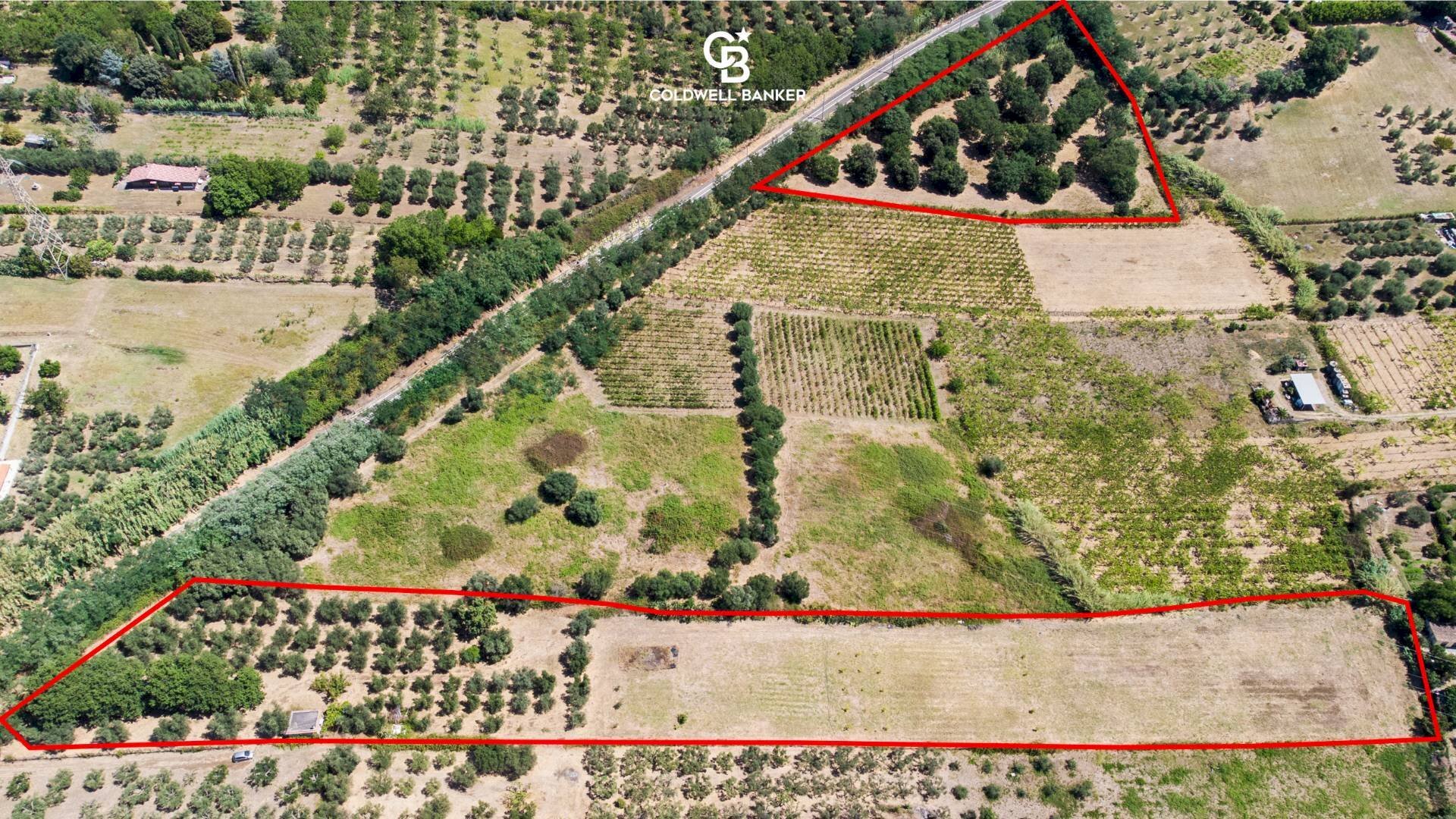 Foto 1 - Agricultural land Via Delle Selve, Lanuvio - photo 1