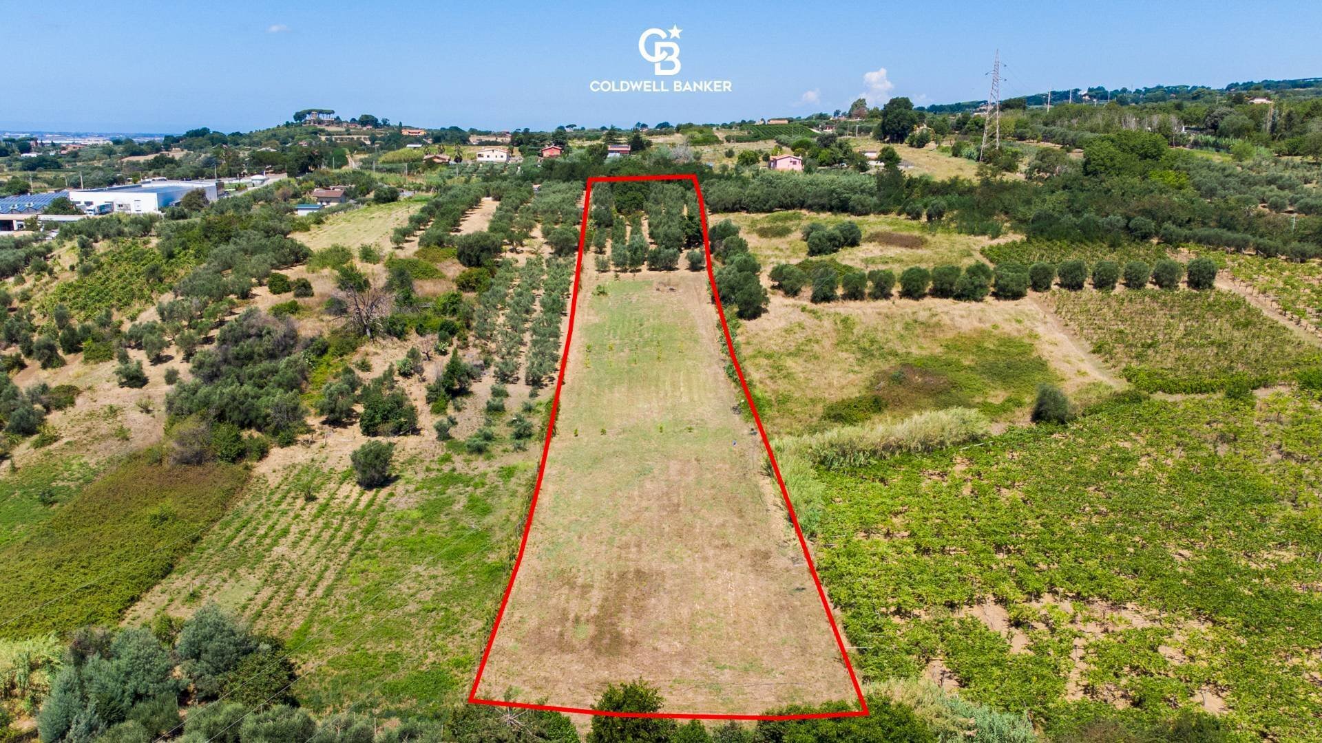 Foto 2 - Agricultural land Via Delle Selve, Lanuvio - photo 2